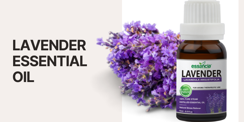 Benefits of Lavender Oil