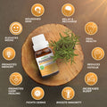 Frankincense Essential Oil Essancia