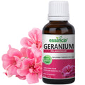 Geranium-Essential-Oil Essancia-Living