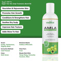 Amla Carrier Oil Essancia