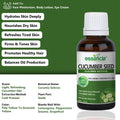 Cucumber Seed Oil Essancia Living