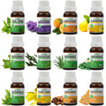 Pack of 12 Essential Oils (Tea Tree, Lavender, Lemon, Orange, Peppermint, Eucalyptus, Frankincense, Ylang Ylang, LemonGrass, Rosemary, Cinnamon, Citronella) Essancia