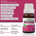 Geranium-Essential-Oil Essancia-Living