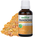 Frankincense Essential Oil Essancia