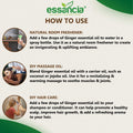Ginger Essential Oil Essancia Living