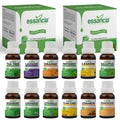Pack of 12 Essential Oils (Tea Tree, Lavender, Lemon, Orange, Peppermint, Eucalyptus, Frankincense, Ylang Ylang, LemonGrass, Rosemary, Cinnamon, Citronella) Essancia