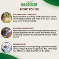 Ajwain Essential Oil Essancia Living