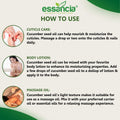 Cucumber Seed Oil Essancia Living