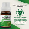 Eucalyptus Essential Oil Essancia