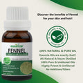 Fennel Essential Oil Essancia Living