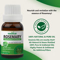 Rosemary Essential Oil Essancia