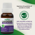 Lavender Essential Oil Essancia