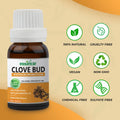 Clove bud Essential Oil Essancia