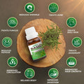 Basil Essential Oil Essancia