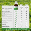 Bergamot Essential Oil Essancia