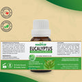 Eucalyptus Essential Oil Essancia