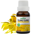 Ylang Ylang Essential Oil Essancia