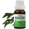 Eucalyptus Essential Oil Essancia