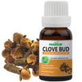 Clove bud Essential Oil Essancia