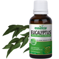Eucalyptus Essential Oil Essancia