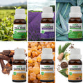 Pack of 6 Essential oils (Tea Tree, Lavender, Eucalyptus, Frankincense, Cedarwood, Clove Bud) Essancia