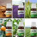 Pack of 6 Essential oils ( Tea Tree, Lavender, Rosemary, Orange, Bergamot, Cinnamon) Essancia