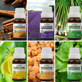 Pack of 6 Essential oils (Peppermint, Lavender, Lemongrass, Frankincense, Ylang Ylang, Cinnamon) Essancia