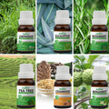 Pack of 6 Essential oils ( Tea Tree, Bergamot, Lemongrass, Rosemary, Eucalyptus, Cedarwood) Essancia