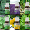 Pack of 6 Essential Oils (Peppermint, Lavender, Lemonrass, Eucalyptus, Citronella, Lemon) Essancia