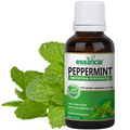 Peppermint Essential Oil Essancia