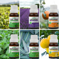 Pack of 6 Essential oils (Tea Tree, Peppermint, Orange, Lavender, Lemon, Eucalyptus) Essancia