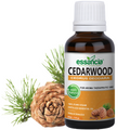 Cedarwood Essential Oil Essancia