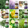 Pack of 9 Essential Oils (Tea Tree, Lavender, Ylang Ylang, Rosemary, Lemongrass, Basil, Bergamot, Cedarwood, Clove Bud) Essancia