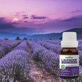 Pack of 3 Essential Oils (Tea Tree, Lavender, Rosemary) Essancia