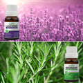 Pack of 2 Essential Oils (Lavender & Rosemary) Essancia