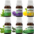 Pack of 6 Essential Oils (Peppermint, Lavender, Lemonrass, Eucalyptus, Citronella, Lemon) Essancia