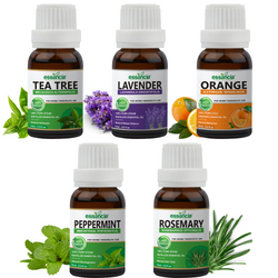 Pack of 5 Essential Oils (Tea Tree, Lavender, Orange, Peppermint, Rosemary)