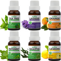 Pack of 6 Essential oils (Tea Tree, Peppermint, Orange, Lavender, Lemon, Eucalyptus) Essancia