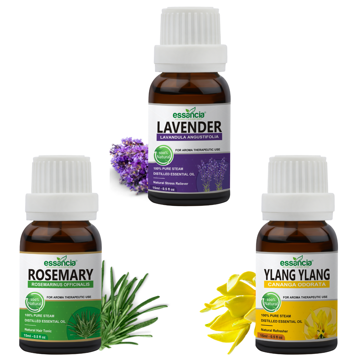 Pack of 9 Essential Oils (Tea Tree, Lavender, Ylang Ylang, Rosemary, L –  Essancia®