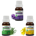 Pack of 3 Essential Oils (Ylang Ylang, Lavender, Rosemary) Essancia