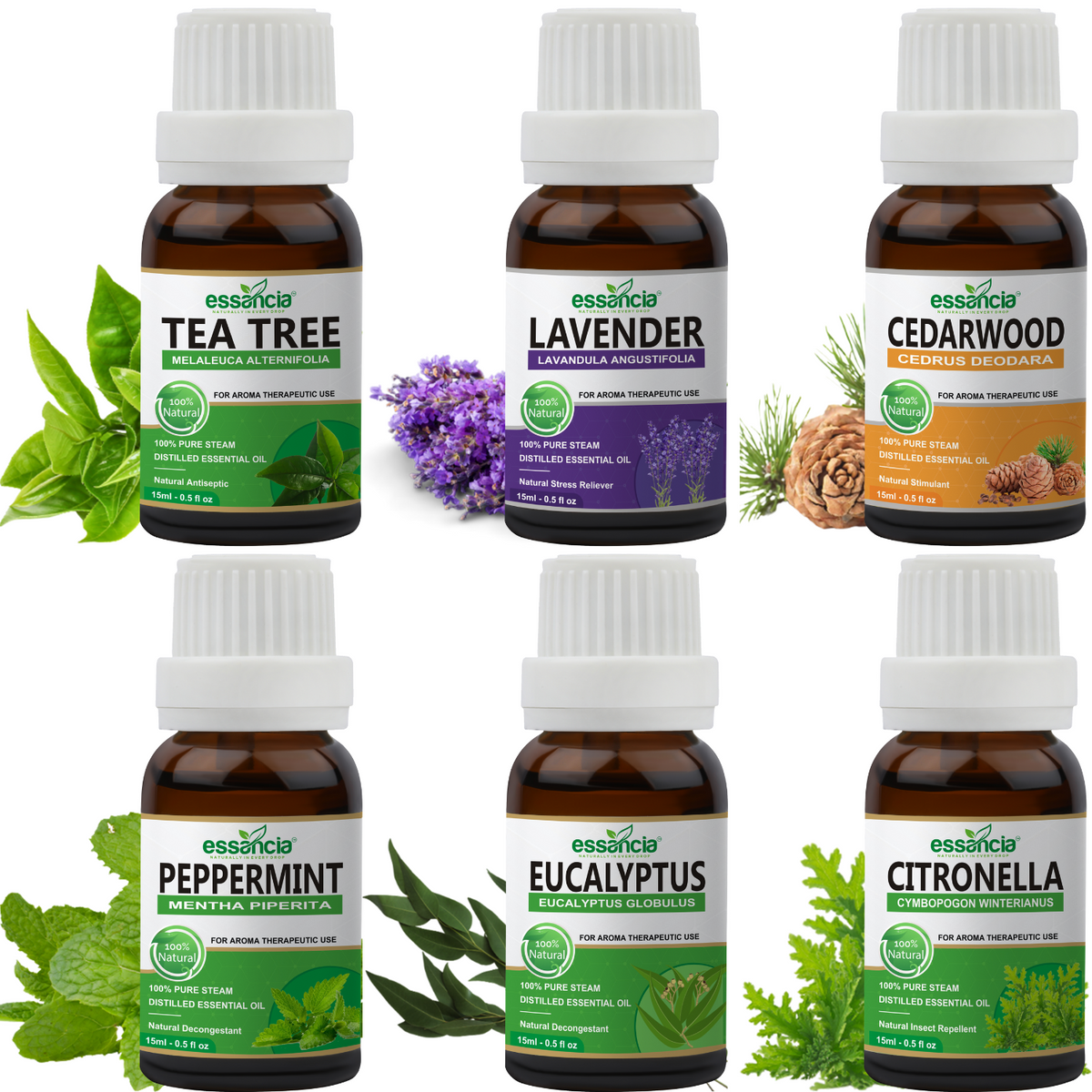 Ceither Top 6 Aromatherapy Essential Oils Set 10ml Lavender Tea Tree  Lemongrass Eucalyptus Sweet Orange Peppermint Natural Oils - AliExpress
