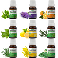 Pack of 9 Essential Oils (Tea Tree, Lavender, Lemon, Orange, Peppermint, Eucalyptus, Ylang Ylang, Rosemary, Lemongrass) Essancia