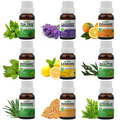 Pack of 9 Essential Oils (Tea Tree, Lavender, Lemon, Orange, Peppermint, Eucalyptus, Frankincense, Rosemary, Citronella,) Essancia