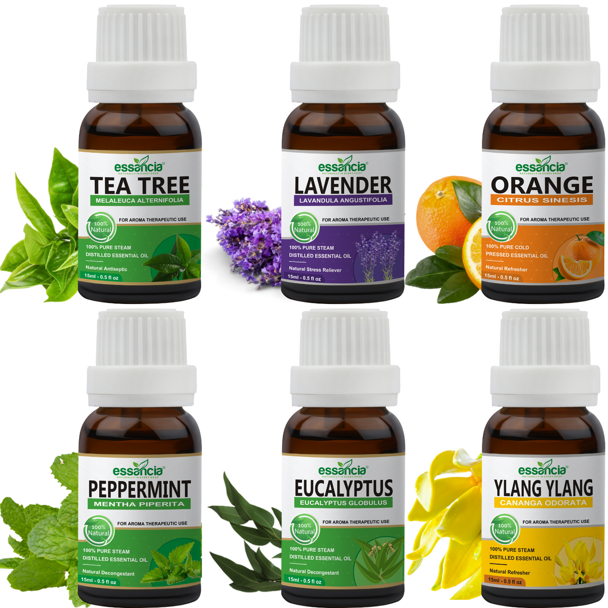 Essential Oil 6-pack - Eucalyptus, Lavender, Lemon, Orange