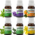 Pack of 6 Essential oils ( Tea Tree, Lavender, Orange, Eucalyptus, Peppermint, Ylang Ylang) Essancia