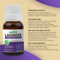 Lavender Essential Oil - Essancia Living