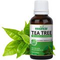 Tea Tree Essential Oil - Essancia Living