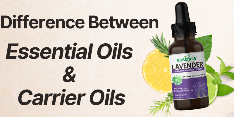 What are Carrier Oils and How Are They Used?