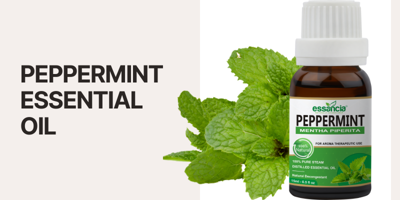 Benefits of Peppermint Oil