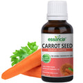 Carrot Seed Essential Oil Essancia Living